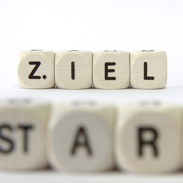 Semper Avanti - Training: Projektmanagement (Bild)