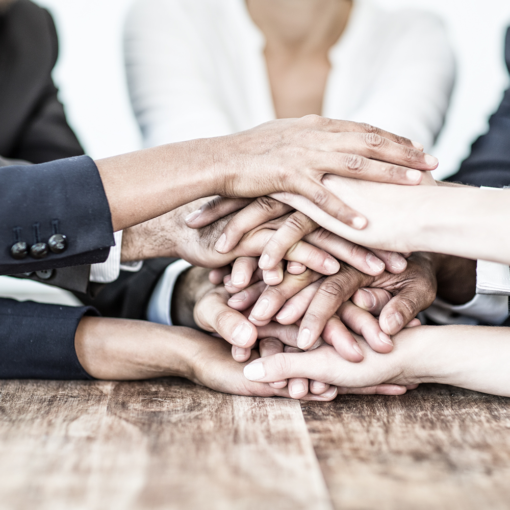 Semper Avanti, Training: Erfolgreich netzwerken